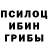 Псилоцибиновые грибы Magic Shrooms Darlene estevez