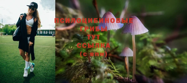 герыч Алексин