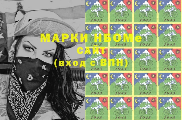 стафф Алзамай