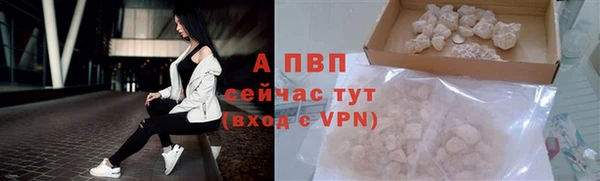 сатива Вуктыл