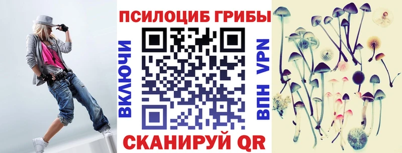 KRAKEN вход  Навашино  сайты даркнета какой сайт  Галлюциногенные грибы мицелий 